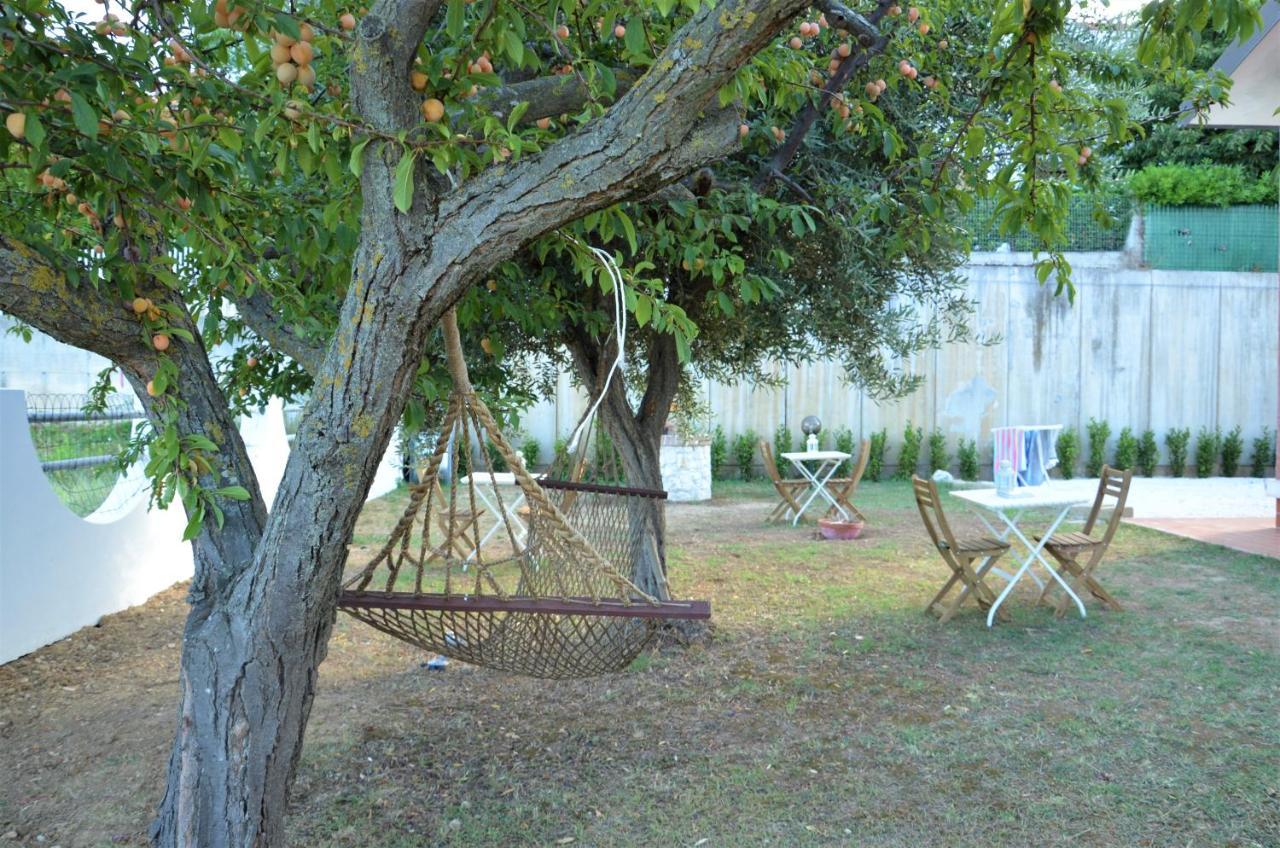マルチェッリ La Cicala Del Conero Bed & Breakfast エクステリア 写真