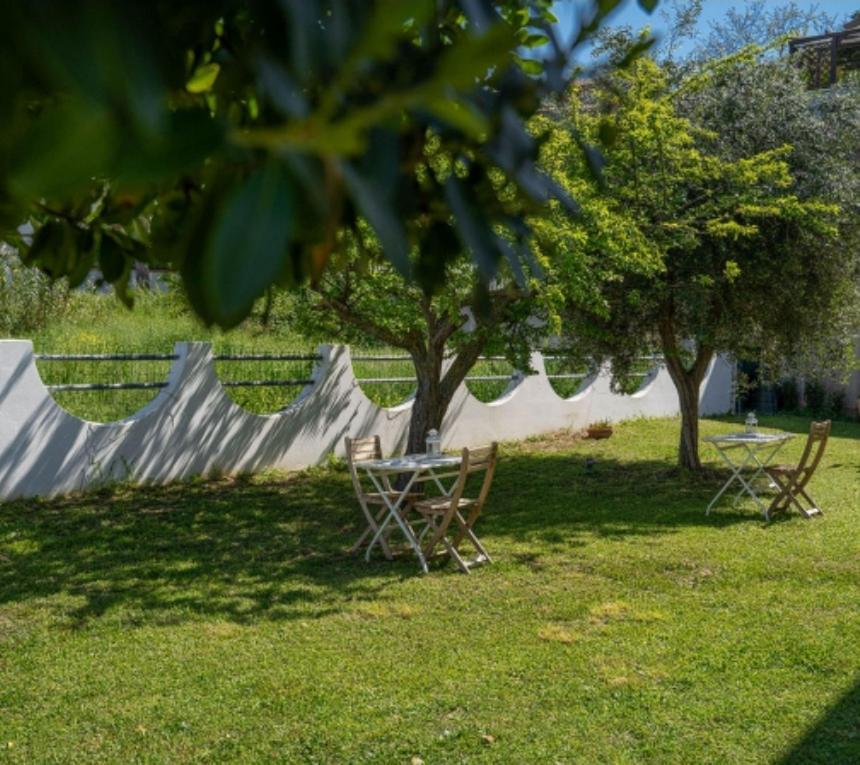 マルチェッリ La Cicala Del Conero Bed & Breakfast エクステリア 写真